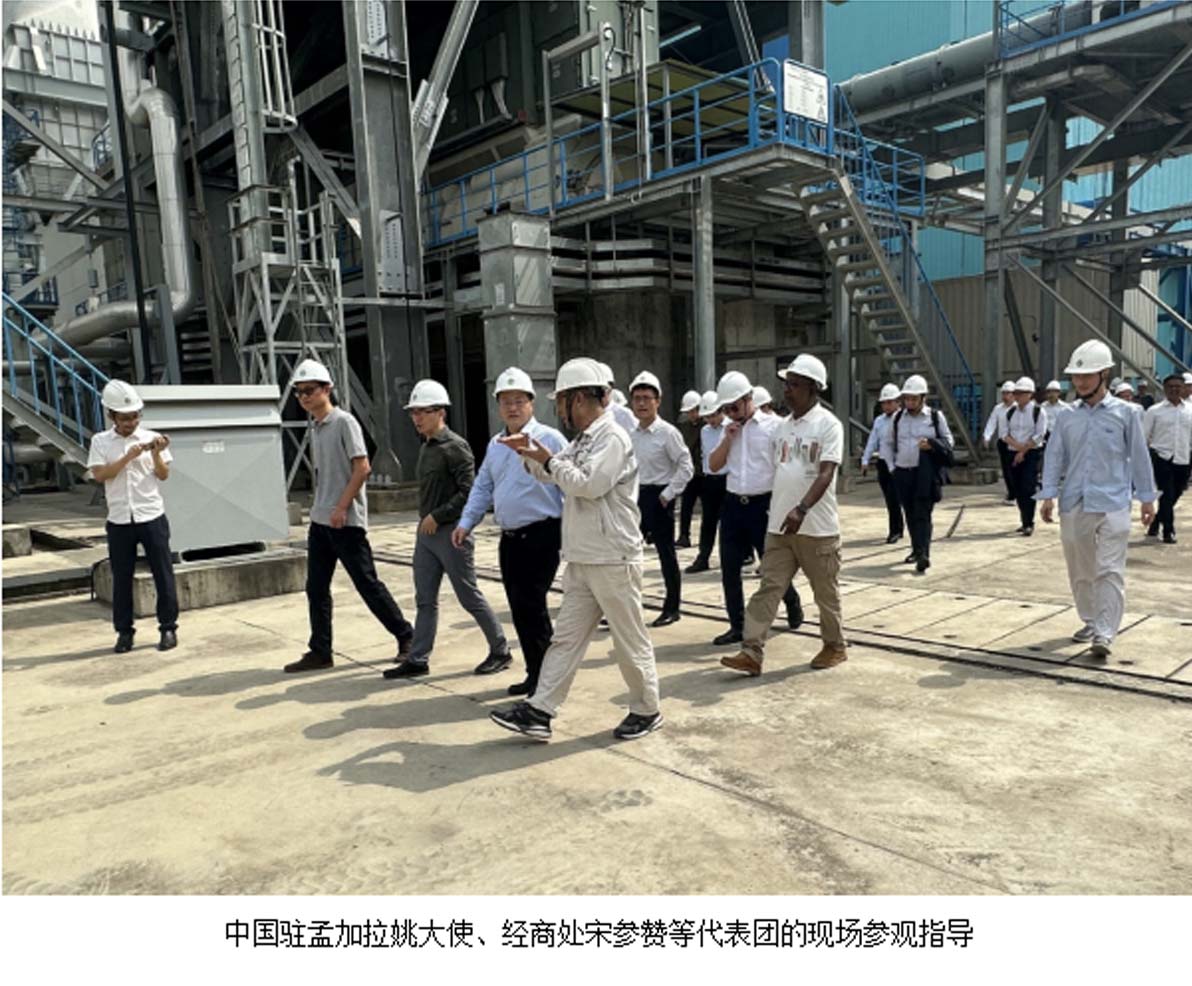 永鼎股份(600105)2025年12月11日涨停事件分析